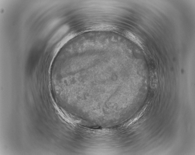 X0000059081087200510281717