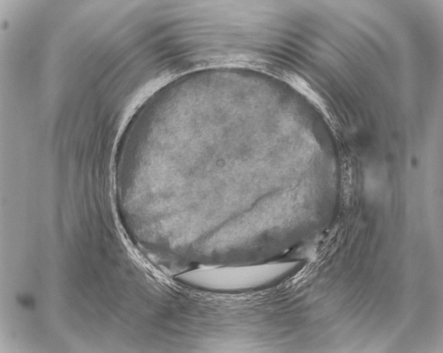 X0000059081088200510281717