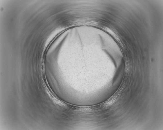 X0000059081094200510281717