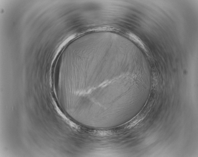 X0000059081095200510281717