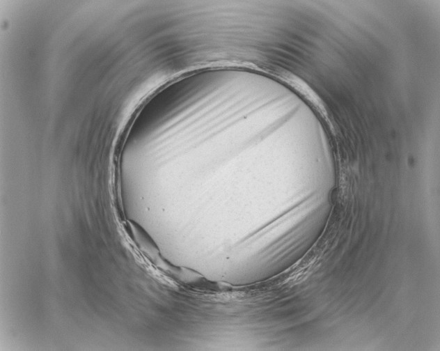 X0000059081096200510281717