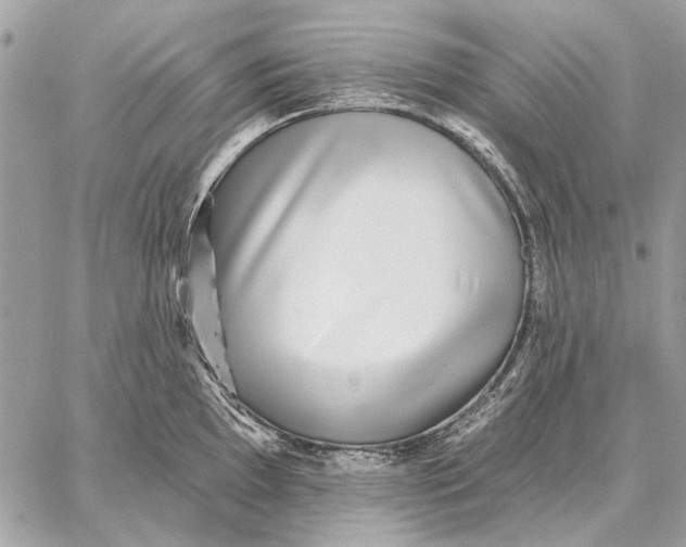 X0000059081097200510281717