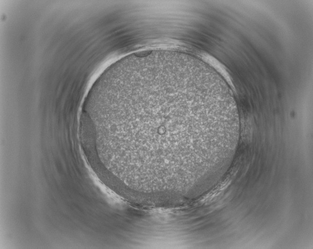 X0000059081099200510281717