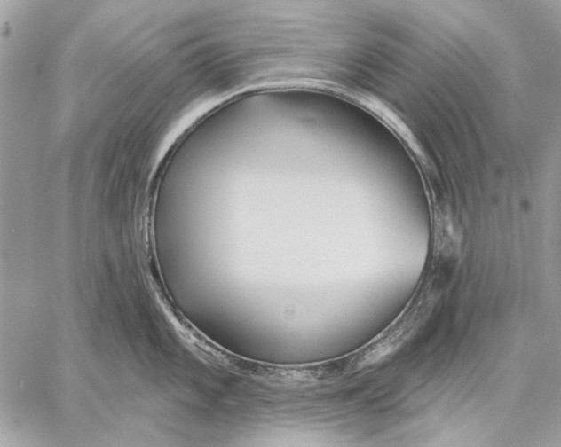 X0000059081101200510281717