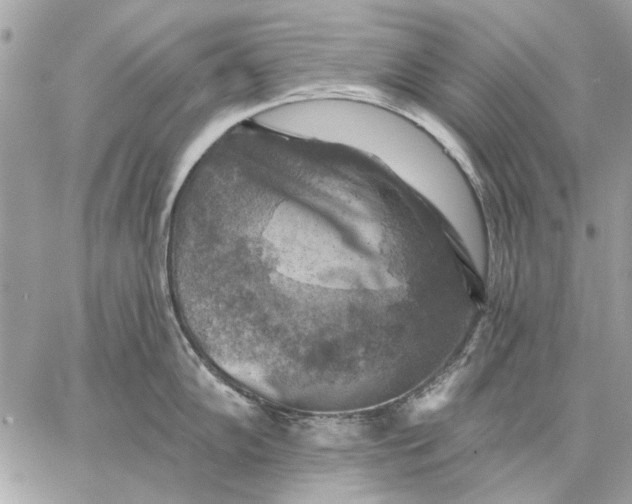 X0000059081102200510281717