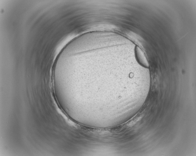 X0000059081103200510281717