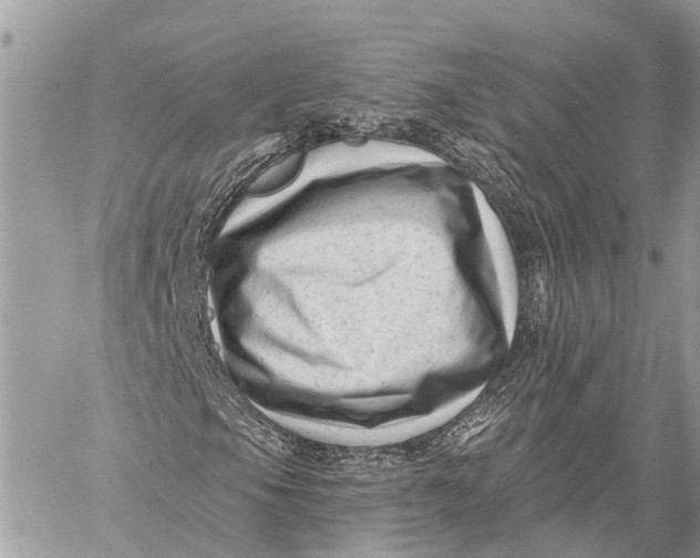 X0000059081105200510281716