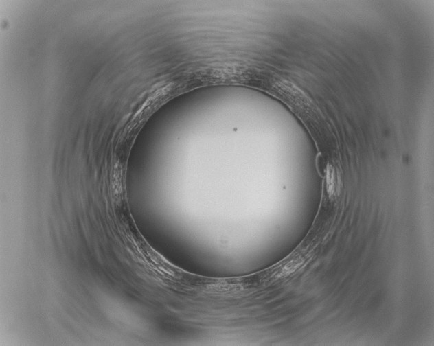 X0000059081107200510281716