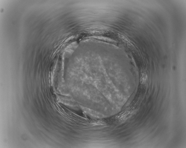 X0000059081108200510281716