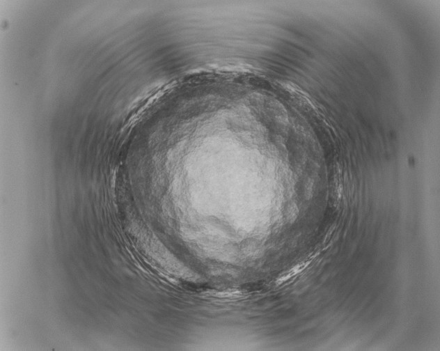 X0000059081110200510281716