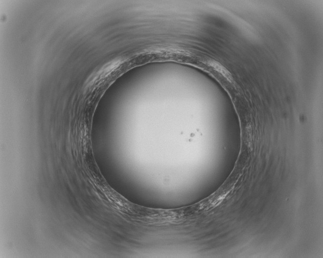 X0000059081111200510281716