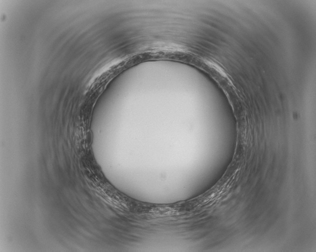 X0000059081112200510281716