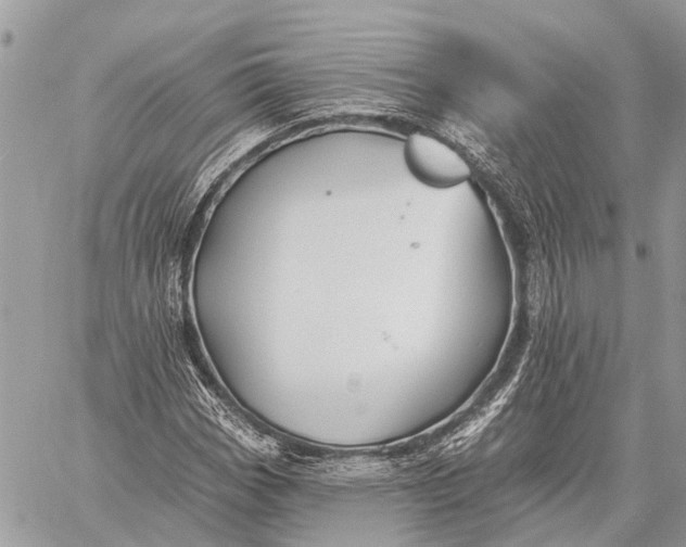 X0000059081113200510281716