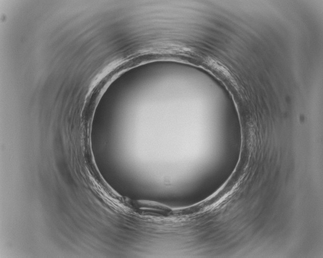 X0000059081114200510281716