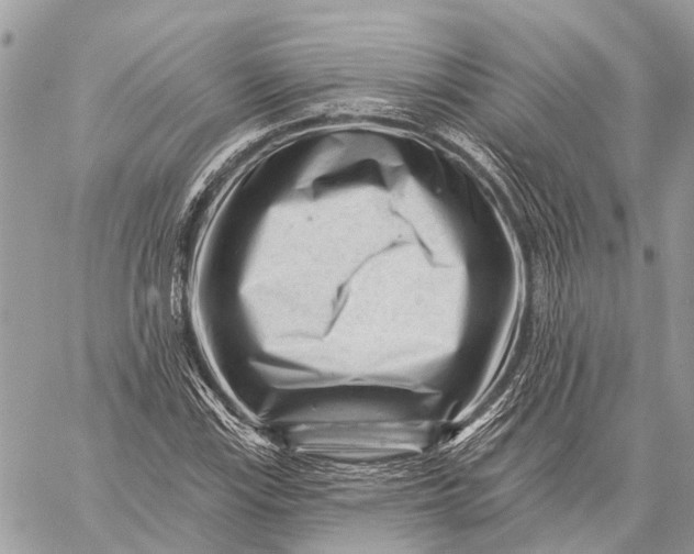 X0000059081115200510281716