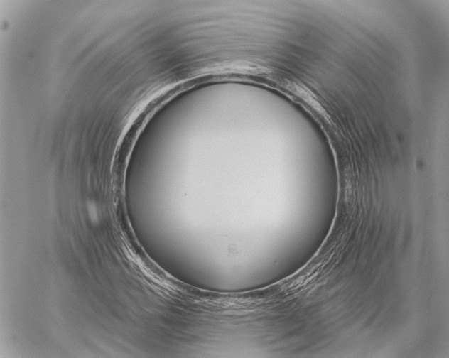 X0000059081116200510281716