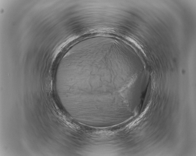 X0000059081117200510281716