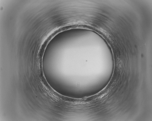 X0000059081118200510281716