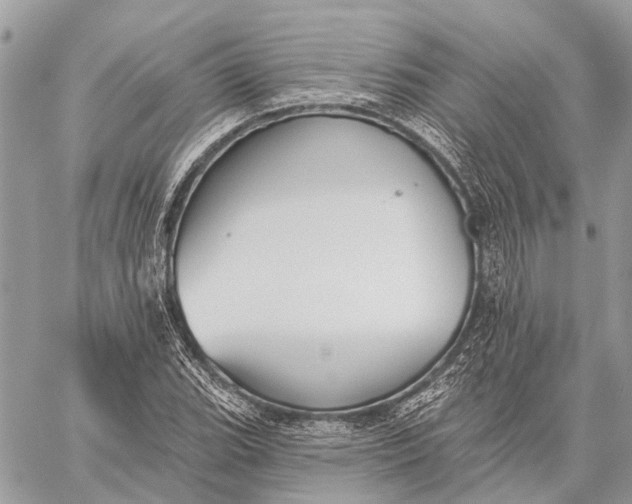 X0000059081119200510281716