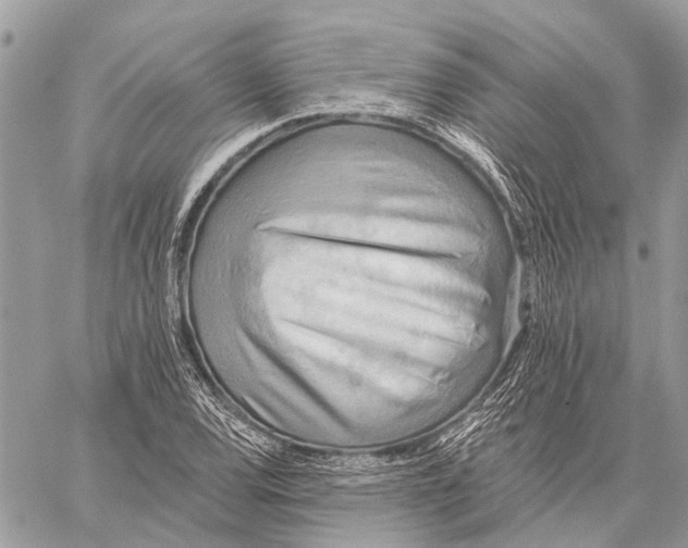 X0000059081120200510281716