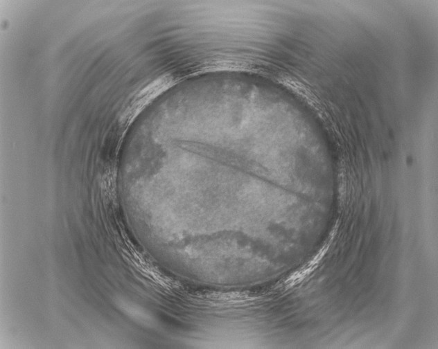 X0000059081121200510281716