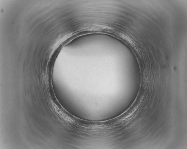 X0000059081122200510281716