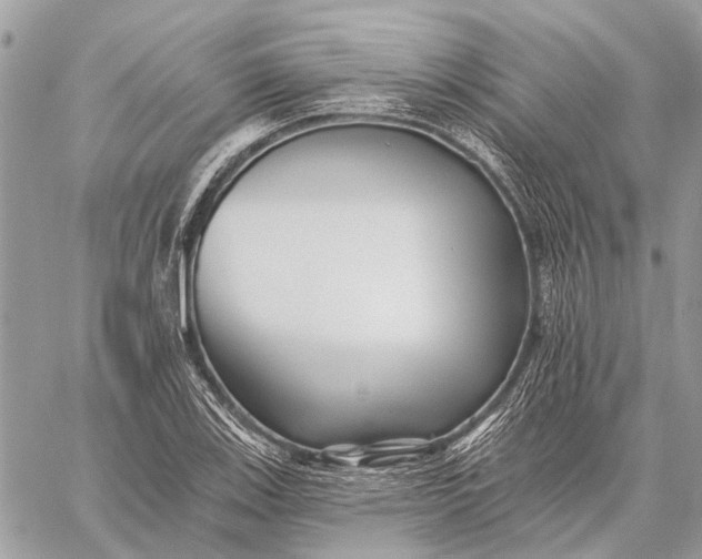 X0000059081123200510281716