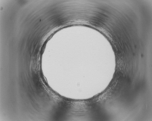 X0000059081126200510281717