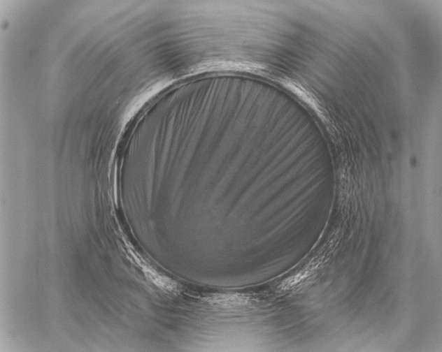 X0000059081127200510281717