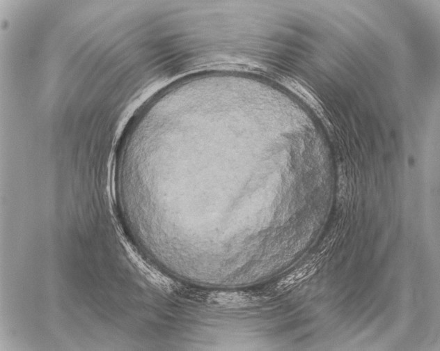 X0000059081128200510281717