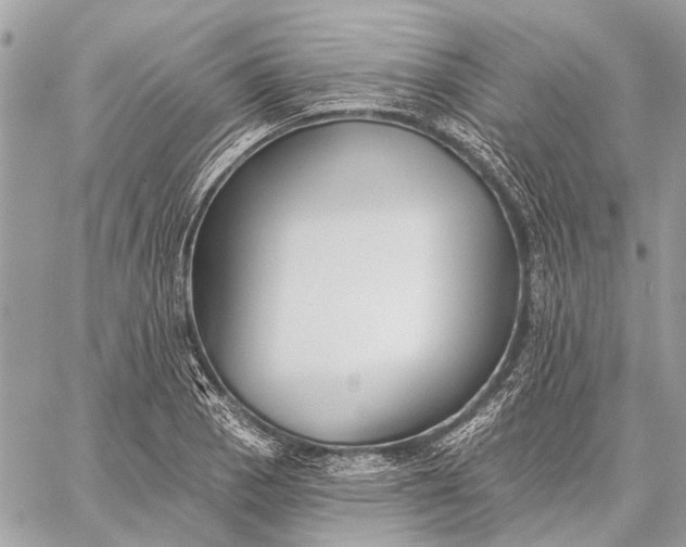 X0000059081129200510281717