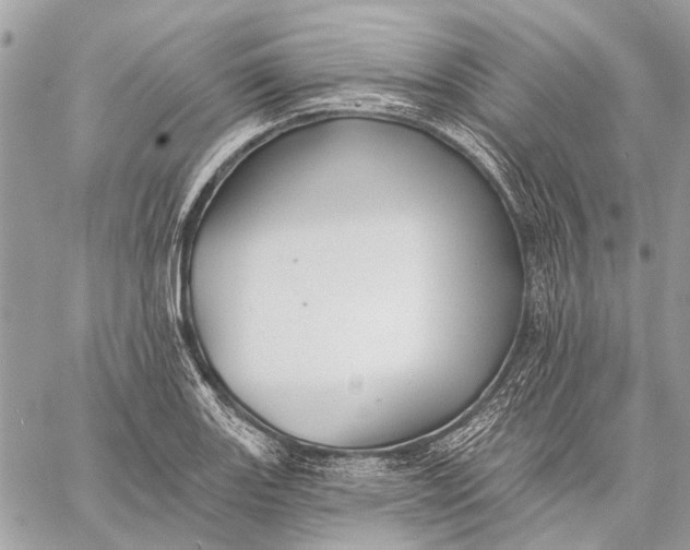 X0000059081131200510281717