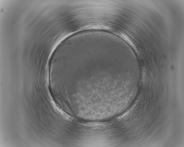 X0000059081132200510281717