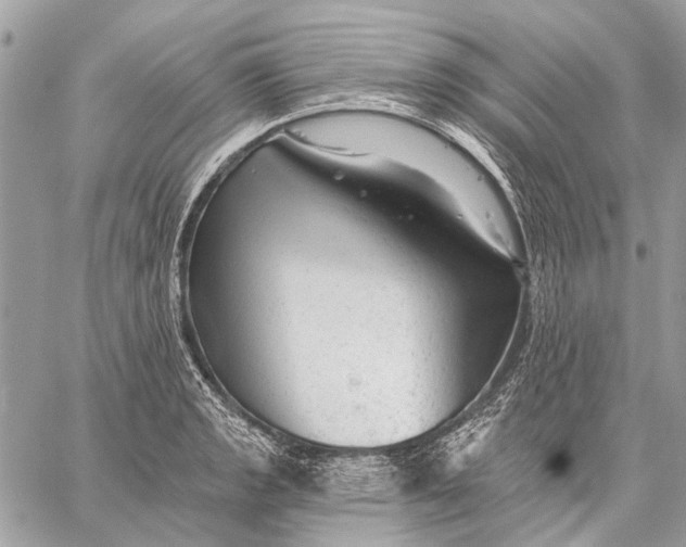 X0000059081133200510281717