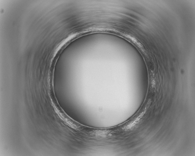 X0000059081134200510281717