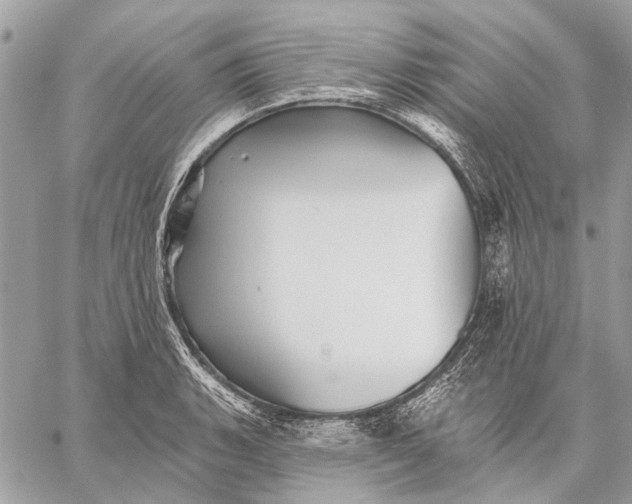 X0000059081135200510281717