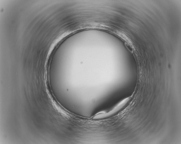 X0000059081136200510281717