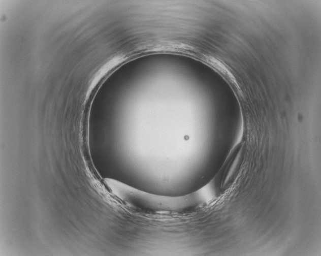 X0000059081138200510281717