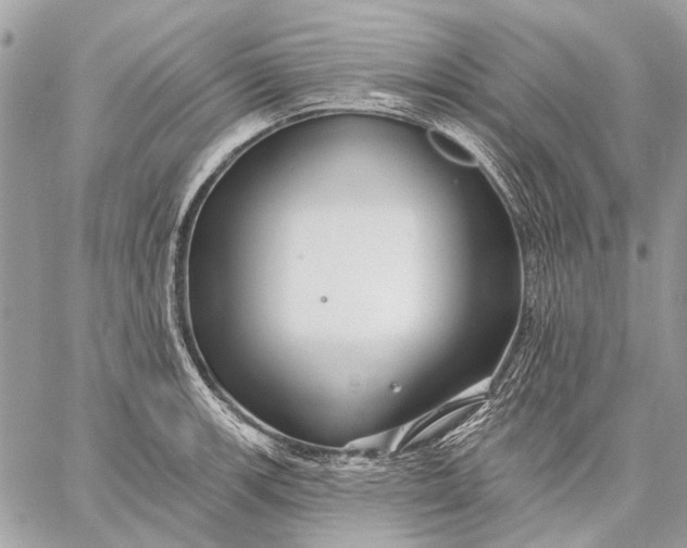 X0000059081139200510281717