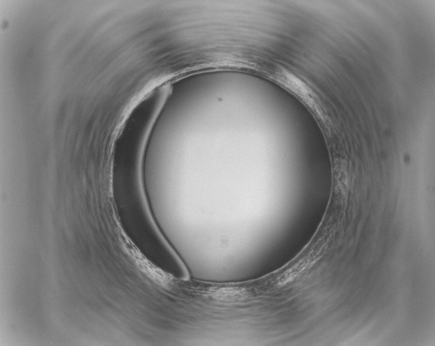 X0000059081140200510281717