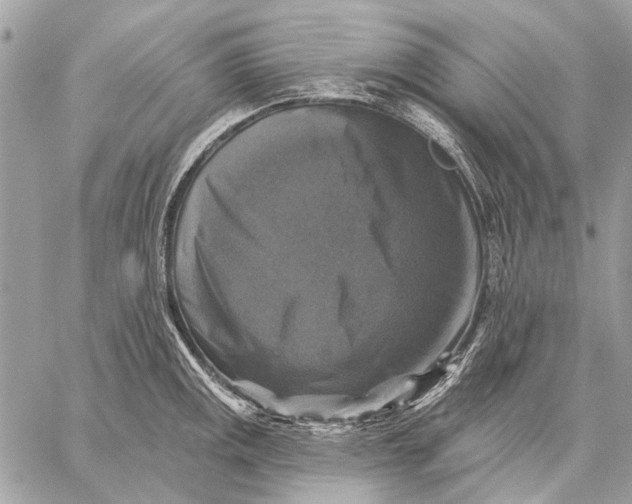 X0000059081141200510281717