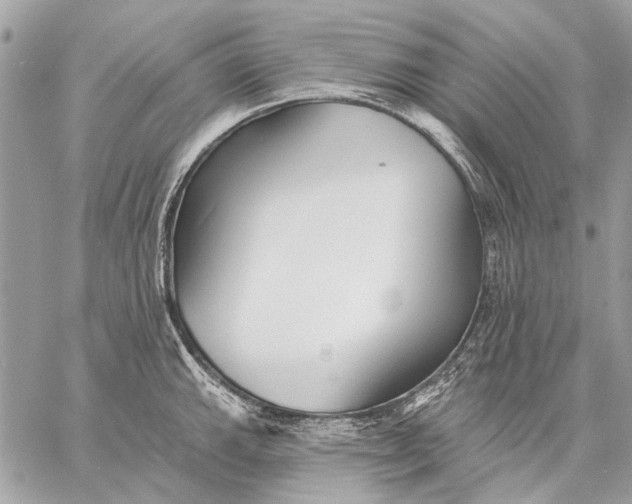 X0000059081143200510281717