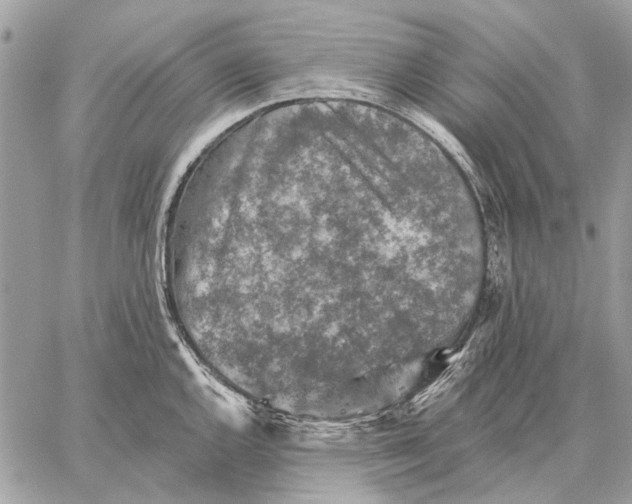 X0000059081144200510281717