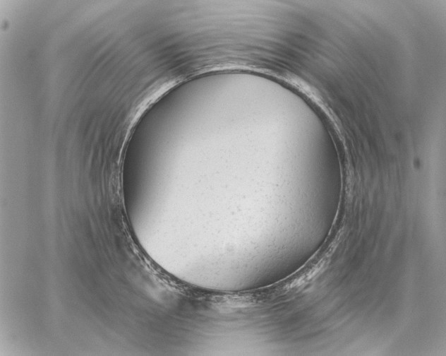 X0000059081145200510281717