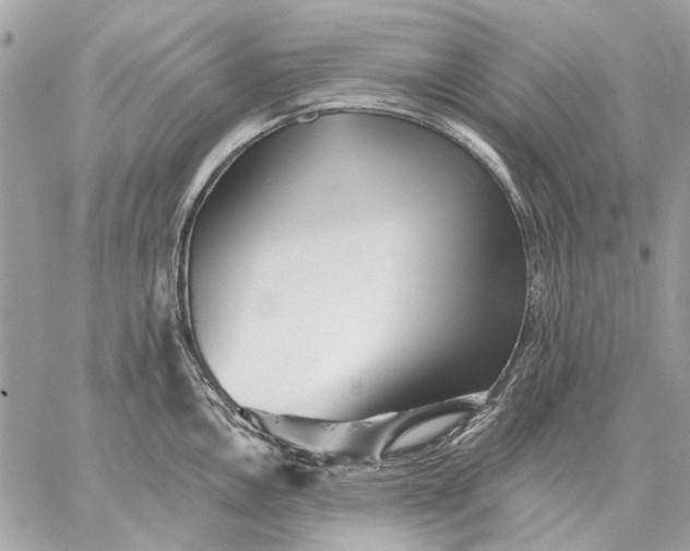 X0000059081146200510281717