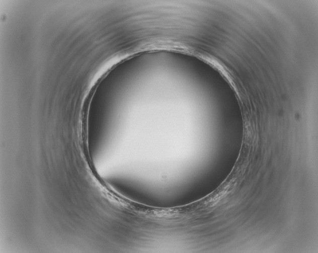 X0000059081147200510281717