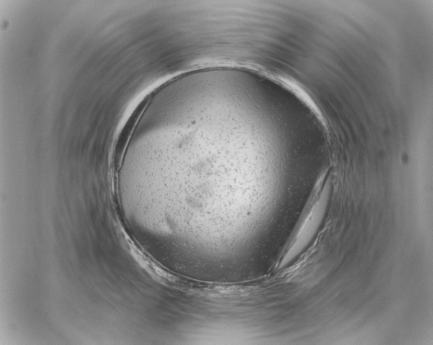 X0000059081148200510281717