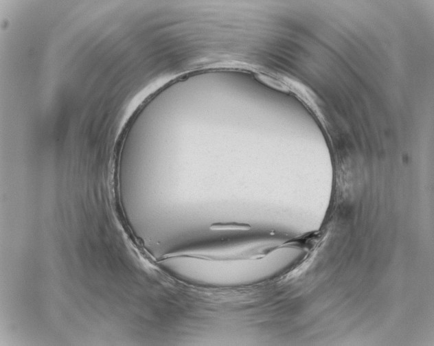 X0000059081149200510281717