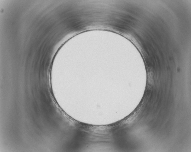 X0000059081150200510281717