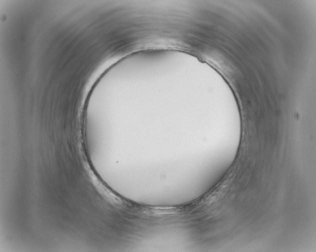 X0000059081152200510281717